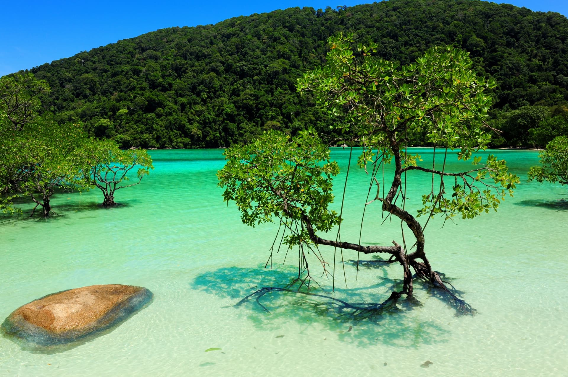 Les îles Surin