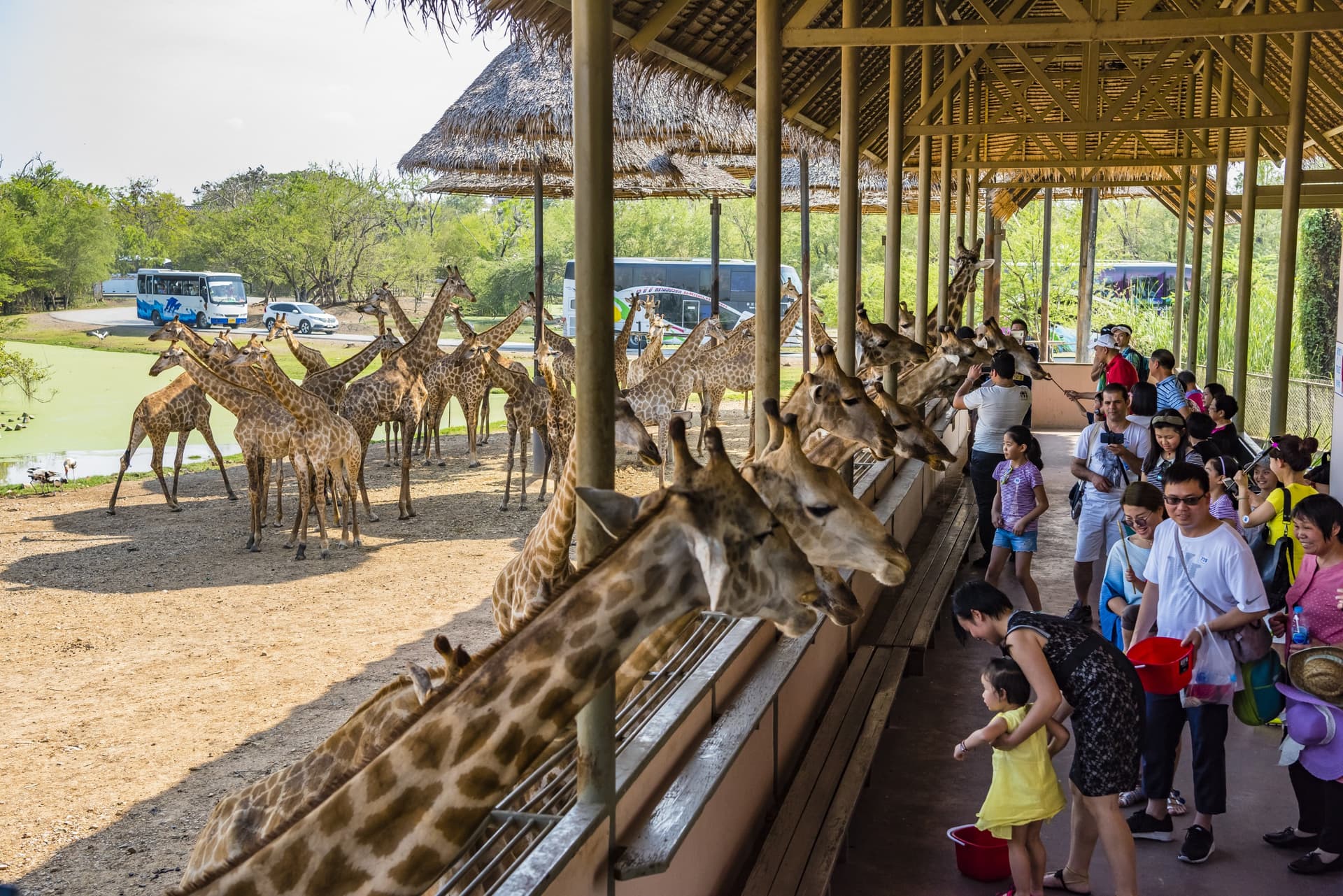 Safari World