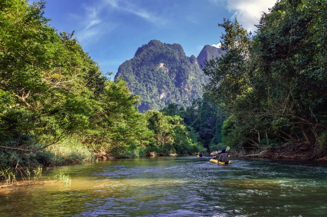 Protection de la nature en Thaïlande : 5 bonnes nouvelles qui font du bien
