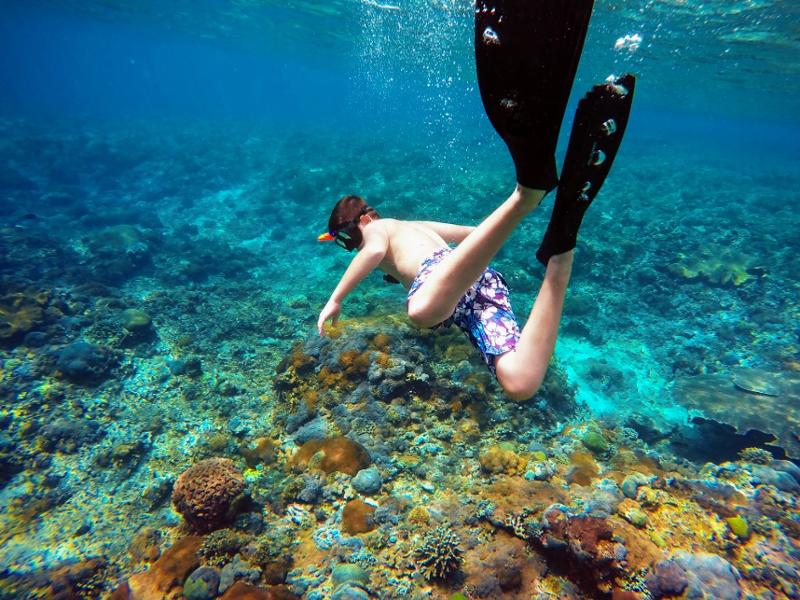 Top 5 des meilleurs spots de plongée de Bali